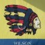 wilson area schools logo