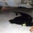 clean oil off a concrete garage floor