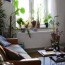 serene and plant filled living room