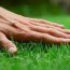 lawn care st charles mo lawn care