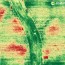 easy quick ndvi imagery for small