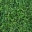 contact us green lawn fertilizing