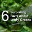6 surprising facts about leafy greens