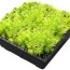 green roof trays manufacturer modular