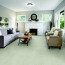 the best carpet for basements your