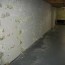 dryzone llc basement waterproofing