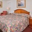 red carpet inn houston hotel reviews