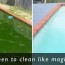 green pool or spa your swimming pool