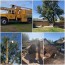 all green tree service reviews