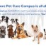 north s pet campus doggy daycare