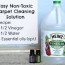 natural carpet cleaner solution recipe