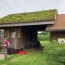 eco explainer what is a green roof