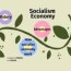 socialism economy by nur liyana