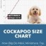 apoo size chart for maxi miniature