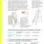 infographic 5 tips for ladder safety