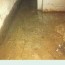 basement flood after sewer backup