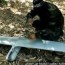 hamas claims to capture israeli drone