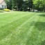 green lawn fertilizing reviews west