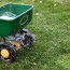 lawn care for beginners how to grow a