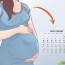 chinese birth gender chart