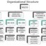 organizational structure definition