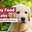 9 best puppy food for labs january