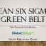 lean six sigma green belt coaching in