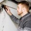 how to get rid of mold in the basement