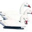 spring snow goose guide