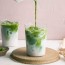 iced matcha latte an easy recipe a