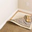 how to get mold out of carpet