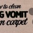 cleaning dog vomit from carpet