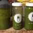 i tried the 10 day green smoothie