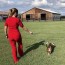 medical boarding snodgr veterinary