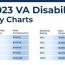 2023 va disability pay rates