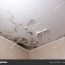 black mold and mildew spots on the
