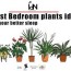 best bedroom plants ideas for your