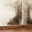 how to prevent mold in your basement