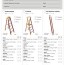 ladder and fall protection safety