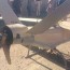 syria s new iranian drone bellingcat