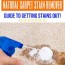 natural carpet stain remover how to