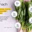 spinach nutrition facts and health benefits