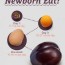 how much should a newborn eat hint