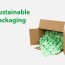 using sustainable packaging whiplash