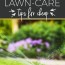 green lawn care tips for fun