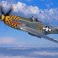 cool p51 mustang fighter paint by