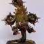 coolminiornot foetid bloat drone by