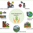 3 green infrastructure support
