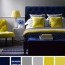 navy blue and lemon color scheme for