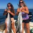 clearwater ins fishing guide
